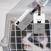 Sneaky Cat Where are We Grey Pet Carrier Tag