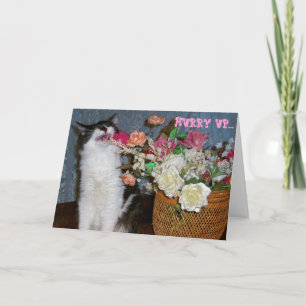 Sneezing Kitty Allergic to get well flowers Card