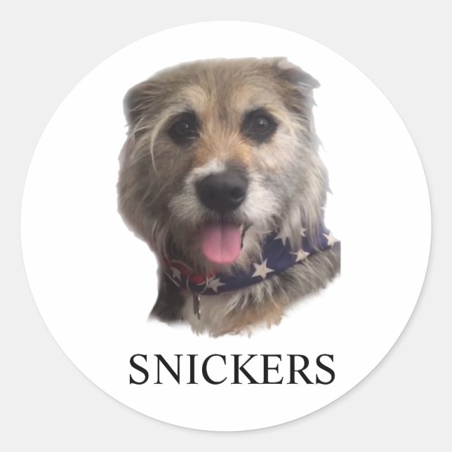 SNICKERS STICKER (Devant)