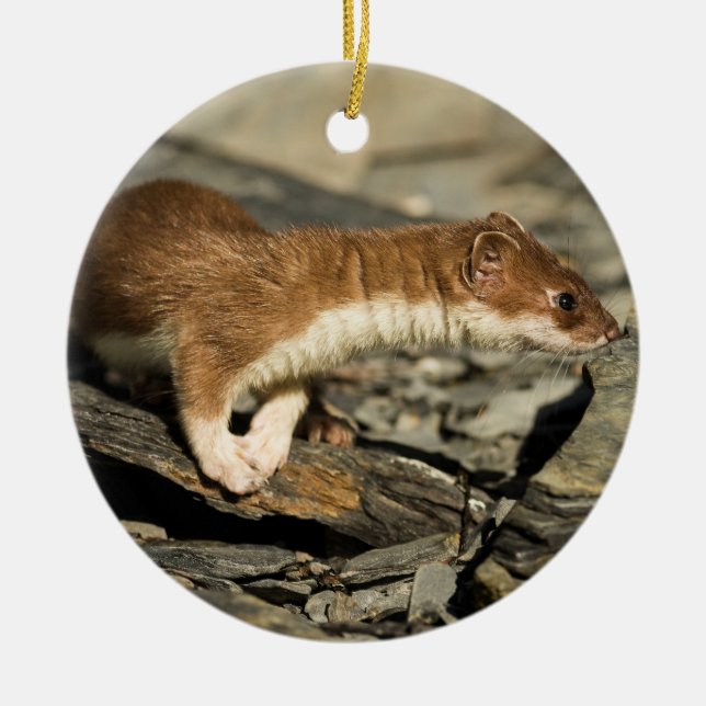 Sniffing Weasel Ceramic Ornament (Front)