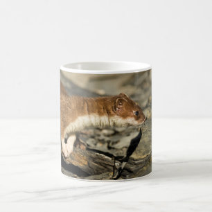 Sniffing Weasel Coffee Mug