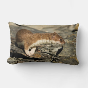 Sniffing Weasel Lumbar Pillow