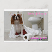 Snifney Spears Postcard