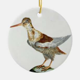Snipe, c.1767-76 (hand coloured engraving) ceramic ornament