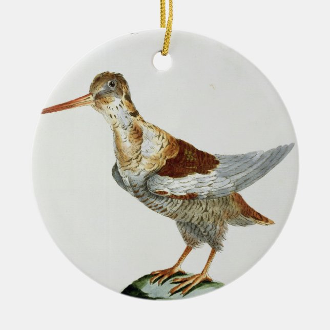 Snipe, c.1767-76 (hand coloured engraving) ceramic ornament (Front)