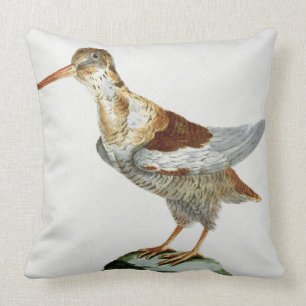 Snipe, c.1767-76 (hand coloured engraving) throw pillow