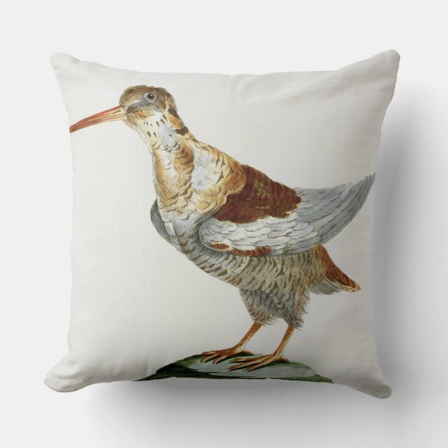 Snipe, c.1767-76 (hand coloured engraving) throw pillow (Front)