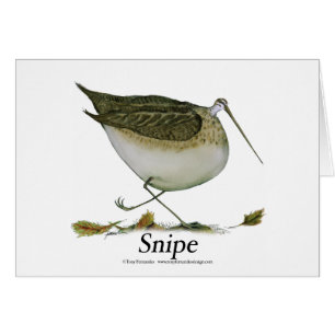 snipe, tony fernandes