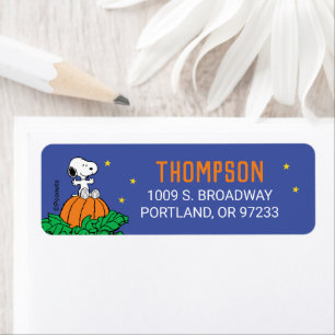 Snoopy and Pumpkin First Birthday