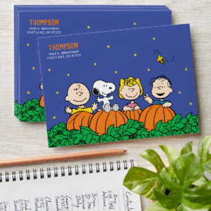 Snoopy and Pumpkin First Birthday Envelope