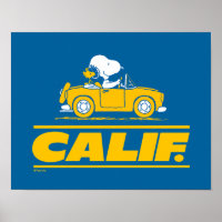  Snoopy and Woodstock’s California Road Trip