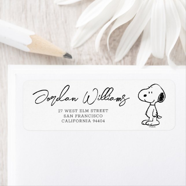 Snoopy d'arachides | BABY SHOWER (En situation)