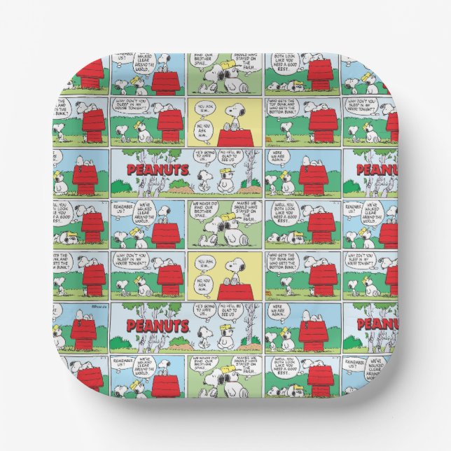 Snoopy & His Brothers Andy & Olaf Paper Plate (Front)