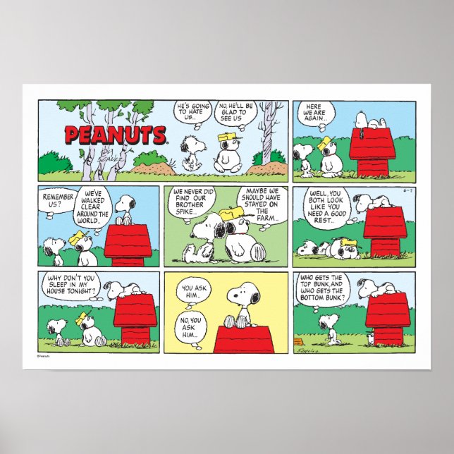 Snoopy & His Brothers Andy & Olaf Poster (Front)