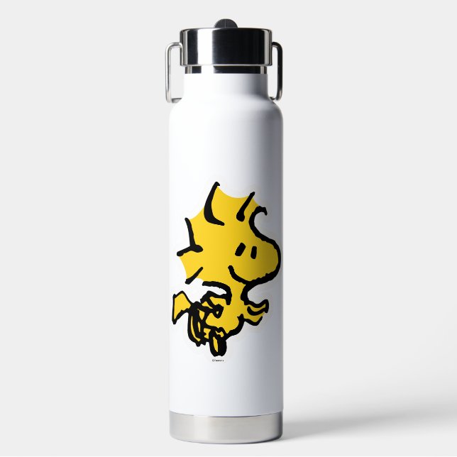Snoopy & Woodstock Fun & Flowers Water Bottle (Front)