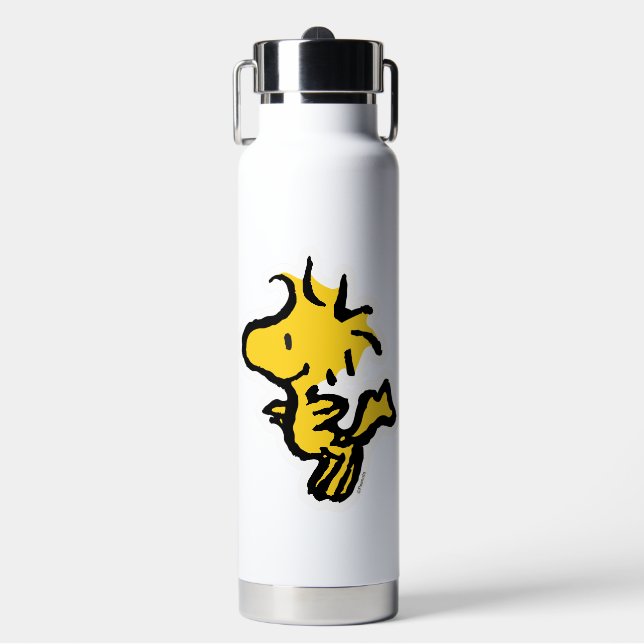 Snoopy & Woodstock Fun & Flowers Water Bottle (Front)