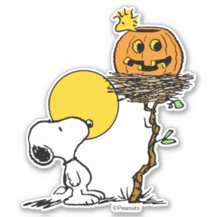 Snoopy & Woodstock Nest With Jack O' Lantern
