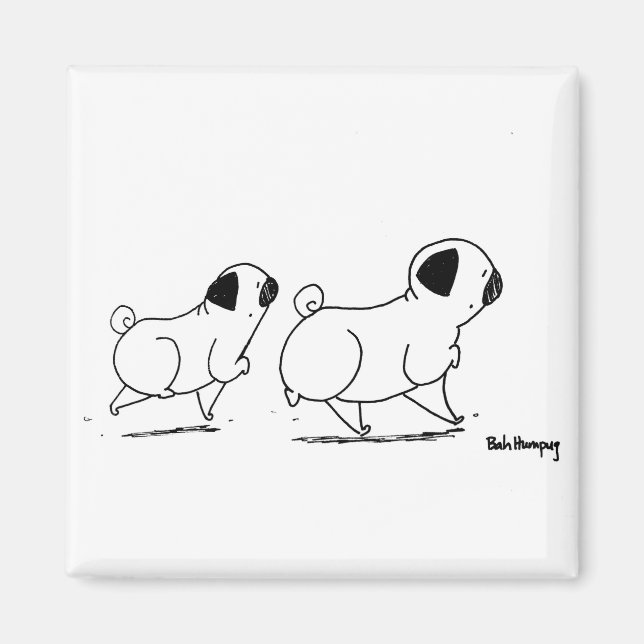 Snooty Pugs Magnet (Front)