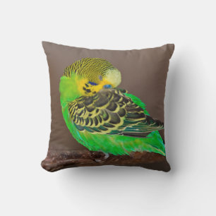 Snoozing Budgie Pillow