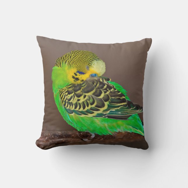 Snoozing Budgie Pillow (Front)