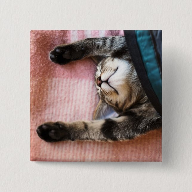 Snoozing Kitten 2 Inch Square Button (Front)