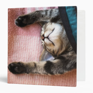 Snoozing Kitten Binder