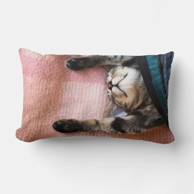 Snoozing Kitten Lumbar Pillow (Front)