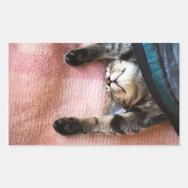 Snoozing Kitten Sticker (Front)