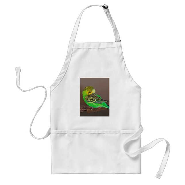 Snoozing Parakeet Apron (Front)