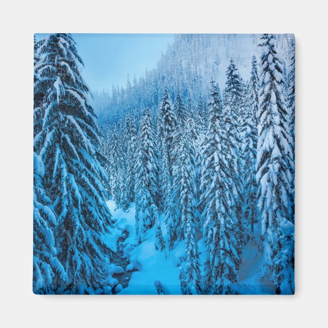 Snoqualmie Pass, Washington State. Magnet (Front)