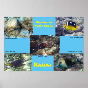 Snorkel at Poipu Beach Poster