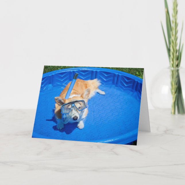 Snorkel Corgi blank greeting card (Front)