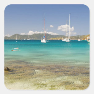 Snorkelers in idyllic Pirates Bight cove, Bight, Square Sticker