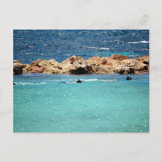 snorkelling in the Caribbean Postcard (Front)