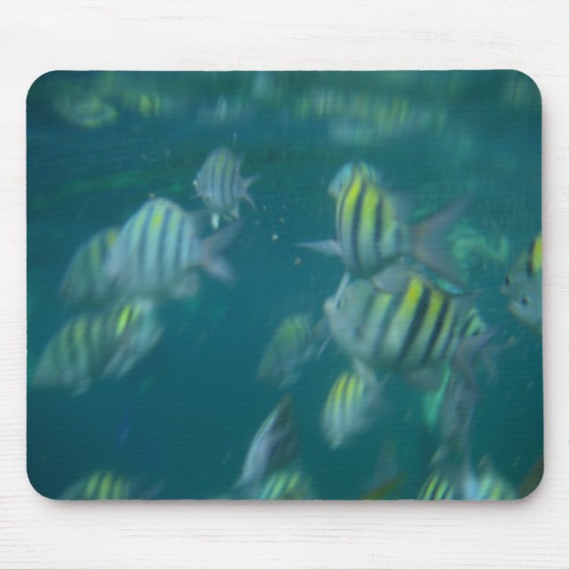 snorkelling mousepad (Front)