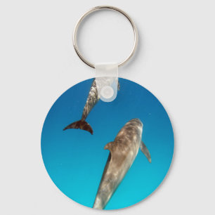 snorkelling with dolphins keychain