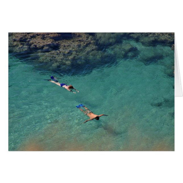 Snorklers 2 (Front Horizontal)