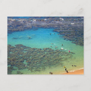 Snorklers at Hanauma Bay, Oahu, Hawaii Postcard