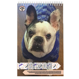 SNORT RESCUE 2019 CALENDAR (PAST EDITION)
