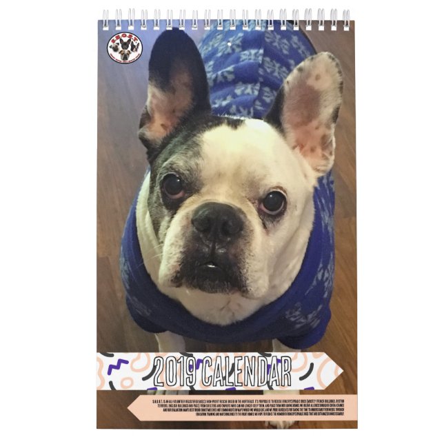 SNORT RESCUE 2019 CALENDAR (PAST EDITION) (Cover)