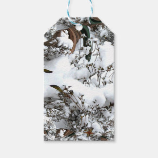 Snow Abstract Gift Tags