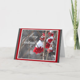 Snow and berries Christmas card