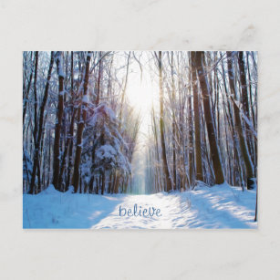 Snow and Trees with Sunbeams Postcard