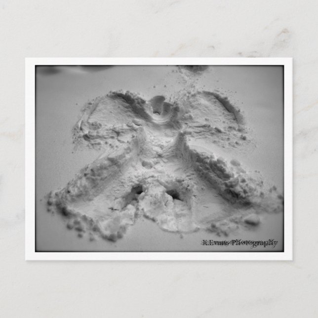 Snow Angel Postcard (Front)