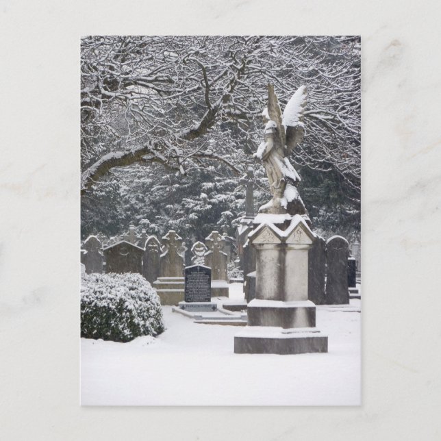 Snow Angel Postcard (Front)