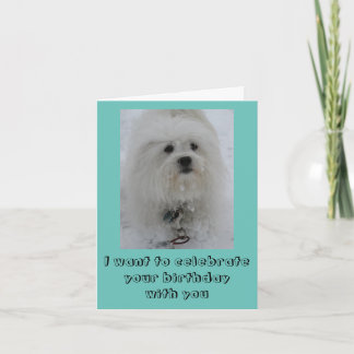 Snow Angels Coton Funny Birthday Card