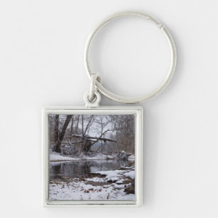 Snow At Finley Keychain