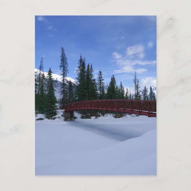 Snow At The Simpson River Trailhead Kootenay River Holiday Postcard (Front)