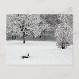 Snow bench and trees postcard