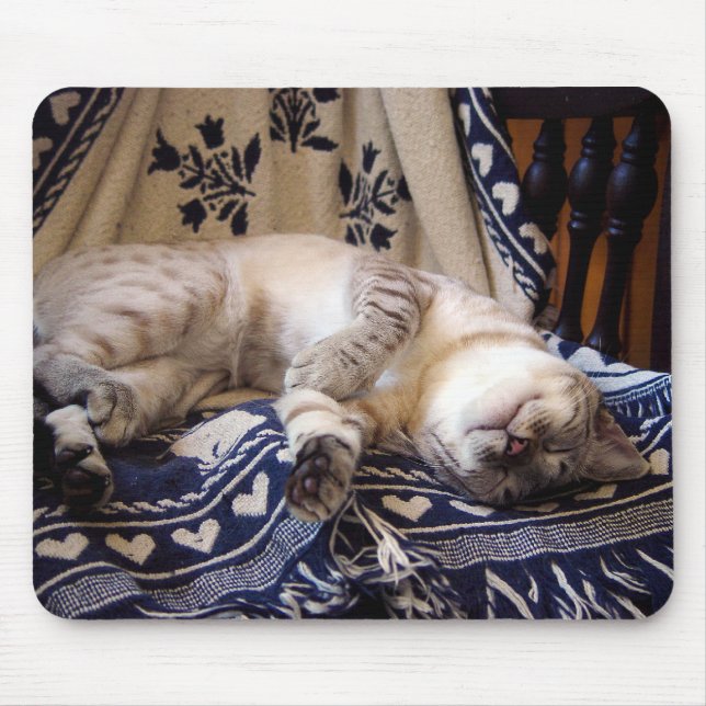 Snow Bengal on Rocker Mouse Pad (Front)